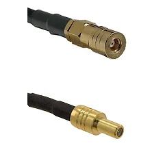 fieldcomponents202607172006221854889