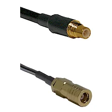 fieldcomponents202607172011591856055