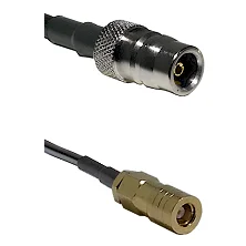 fieldcomponents202607172053401865279