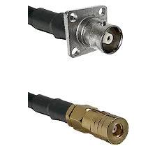 fieldcomponents202607172053491865314