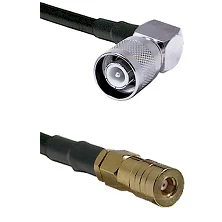 fieldcomponents202607172059281866504