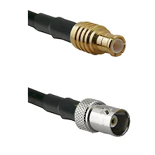 fieldcomponents202607172251521887035