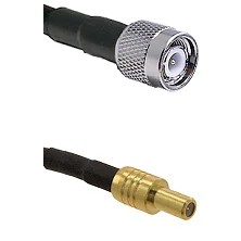 fieldcomponents202607172309161889774