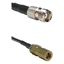 fieldcomponents202607172313481890610