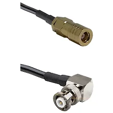 fieldcomponents202607172321261891973