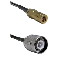 fieldcomponents202607172327411893071