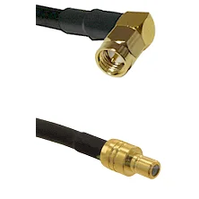 fieldcomponents202607172330161893539
