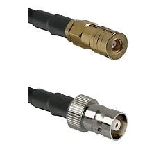 fieldcomponents202607172352011897356