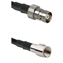 fieldcomponents202607180011481900568