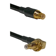 fieldcomponents202607180016431901529