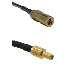 fieldcomponents202607180132001916043