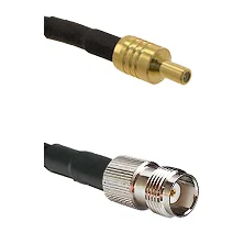 fieldcomponents202607180304371935345