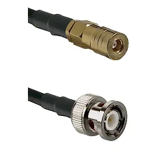fieldcomponents202607180309301936379