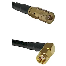 fieldcomponents202607180347241944469