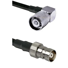 fieldcomponents202607180448541957441
