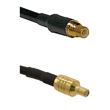 fieldcomponents202607180452091958164