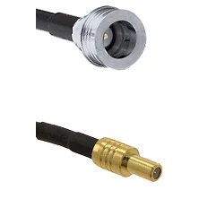 fieldcomponents202607180527451965914