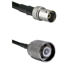 fieldcomponents202607180545161969628