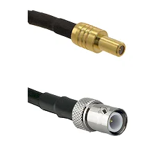 fieldcomponents202607180557301972180