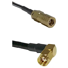 fieldcomponents202607180626331978519