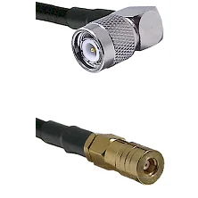 fieldcomponents202607180637211980651