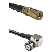 fieldcomponents202607180703041986332