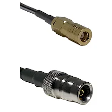 fieldcomponents202607180708541987711