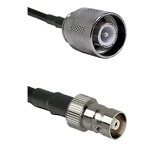 fieldcomponents202607180829142005087