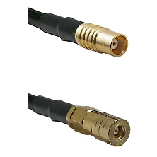 fieldcomponents202607181132052049665