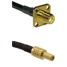 fieldcomponents202607181249482069649