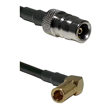 fieldcomponents202607181559522120242