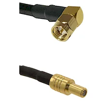 fieldcomponents202607181629152127815