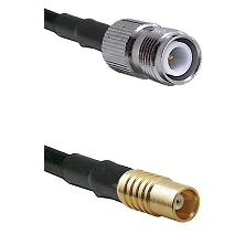fieldcomponents202607181629512127952