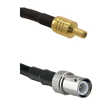 fieldcomponents202607181708132138322