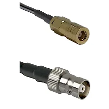 fieldcomponents202607181722502142161