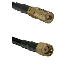 fieldcomponents202607181743162147967