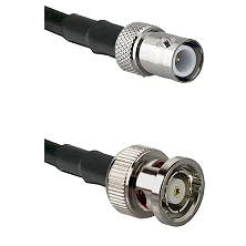 fieldcomponents202607181903572171232