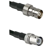 fieldcomponents202607181910112173004