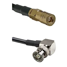 fieldcomponents202607182144122207611
