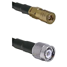 fieldcomponents202607182154372210099