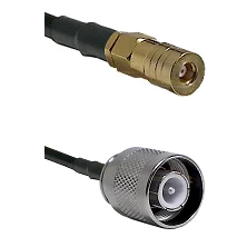 fieldcomponents202607182246532222949