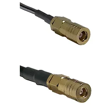 fieldcomponents202607182331192234094