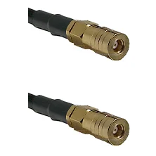 fieldcomponents202607182355562239786