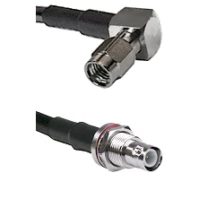 fieldcomponents202607190055002253372
