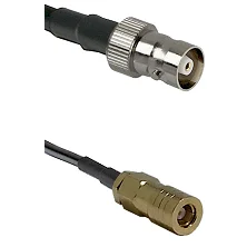 fieldcomponents202607190113042257768