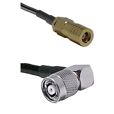 fieldcomponents202607190129492261393