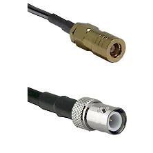fieldcomponents202607190143062264321