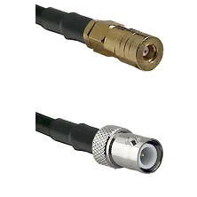 fieldcomponents202607190216192271808