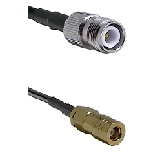 fieldcomponents202607190217092271994