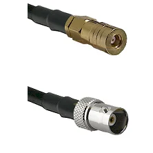 fieldcomponents202607190218082272208